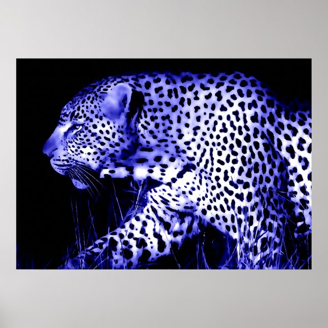 Leopard at Blue Night Poster Pop Art Wild Animaux (Devant)