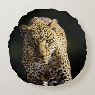 Leopard auf dem Hügel Rundes Kissen