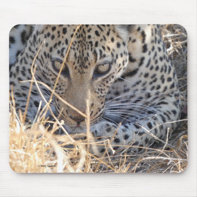 LEOPARD-AUGEN NAHAUFNAHME MOUSEPAD (Vorne)