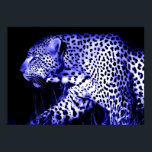 Leopard bei Blue Night Poster Pop Wilde Tiere<br><div class="desc">Das Gesicht von Leopard Posters Prints - Motivierend Mut / Confidence Pop Art Tigers - Blue Tones Tiger Head / Portrait Digital Animal Artwork - Tiger Eyes Pop Art Image - Leiter Leopard Portrait - Wild Big Cats Digital Images</div>