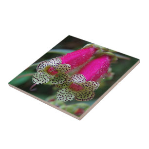Leopard-Blume Fliese