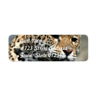 Leopard Cat Mailing Labels