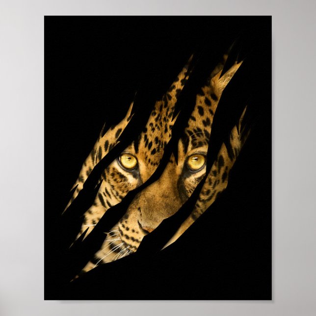 Leopard Cheetah Tiger Leopard Face Lion Cat Appare Poster (Vorne)