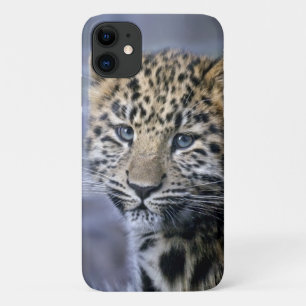 Leopard Cub iPhone 11 Fall Case-Mate iPhone Hülle
