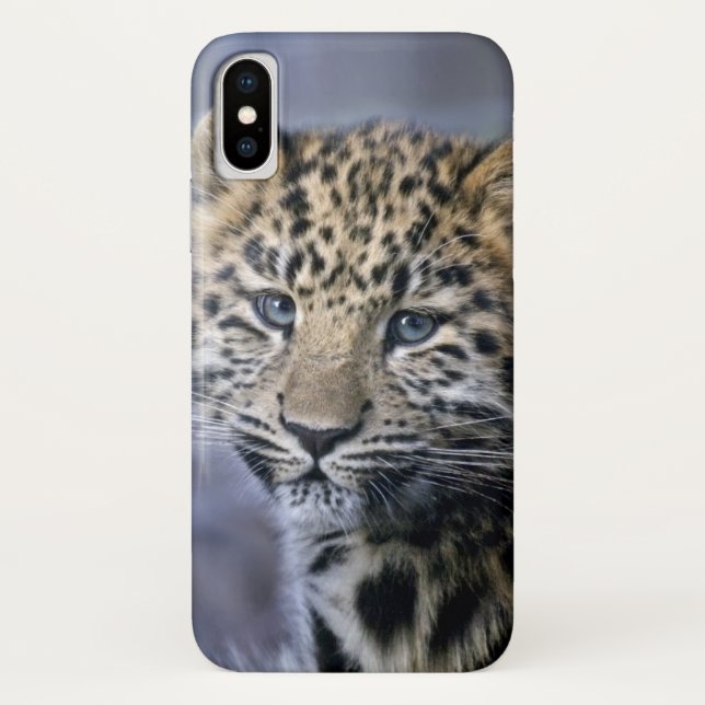Leopard Cub iPhone X Fall Case-Mate iPhone Hülle (Rückseite)