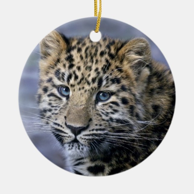 Leopard Cub Ornament (Vorne)