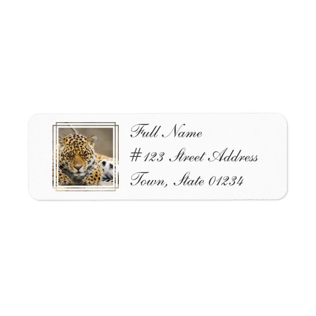 Leopard Cub Rücksendeadresse Mailing Label (Vorne)