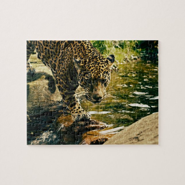 Leopard, der einen Strom kreuzt (Horizontal)