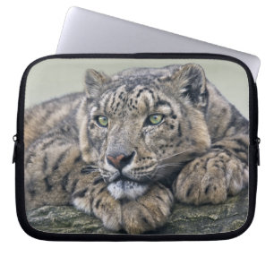 Leopard Dreaming Laptop-Hülle Laptopschutzhülle