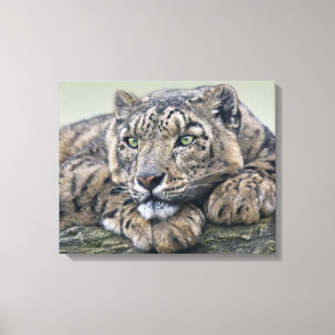 Leopard Dreaming Wrapped Canvas Leinwanddruck