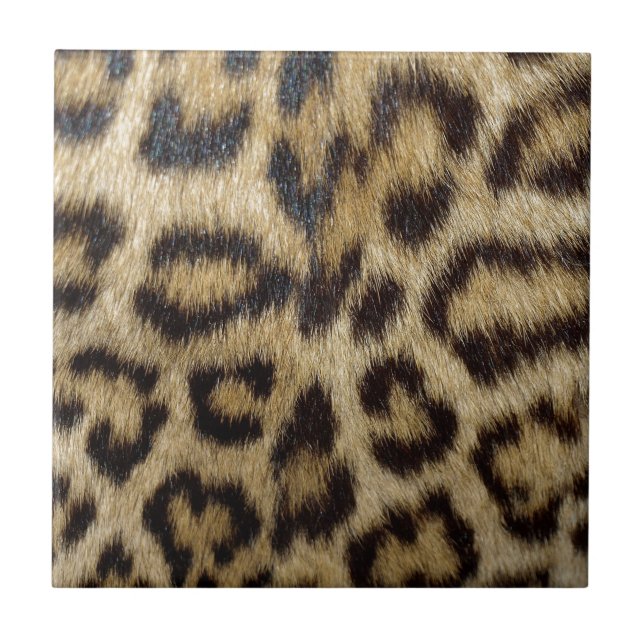 Leopard-Druck Fliese (Vorderseite)