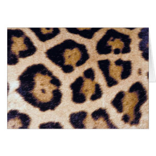 Leopard-Druck-große Katzen-wirklicher