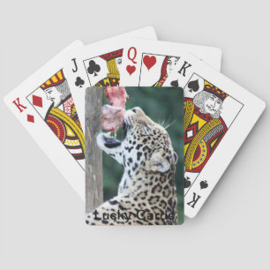 Leopard Eating Spielkarten