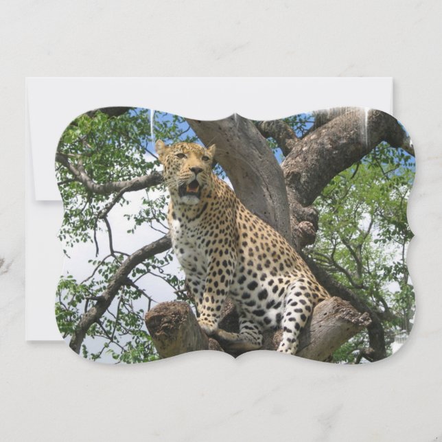 Leopard Einladung (Vorderseite)