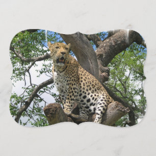 Leopard Einladung