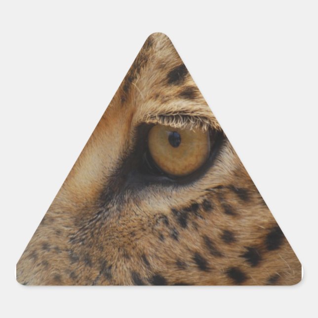 Leopard Eye Dreieckiger Aufkleber (Vorderseite)