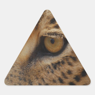 Leopard Eye Dreieckiger Aufkleber