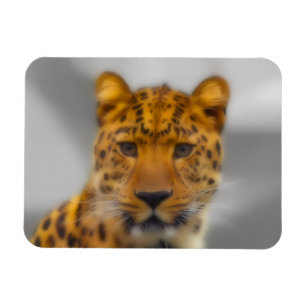 Leopard Face Magnet