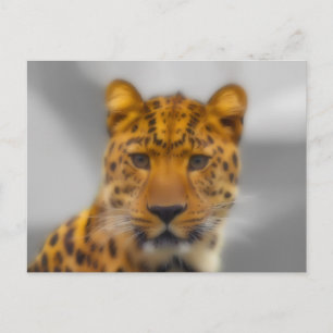 Leopard Face Postkarte