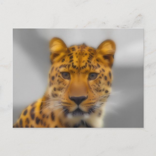 Leopard Face Postkarte (Vorderseite)