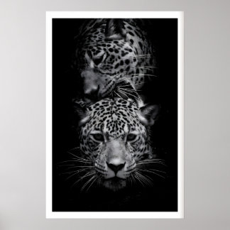 Leopard Faces Print Black and White Wildlife Art Poster