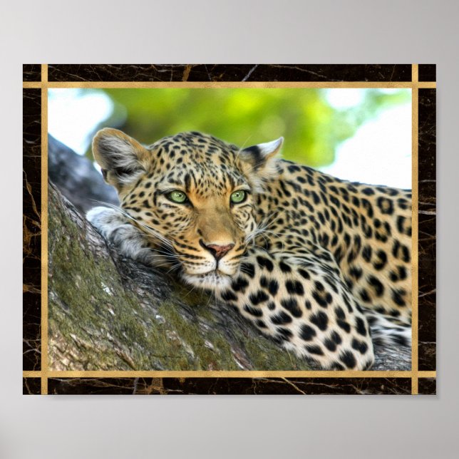 Leopard-Foto-Bild-Druck-Plakat Poster (Vorne)