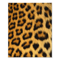 Leopard Fur Print