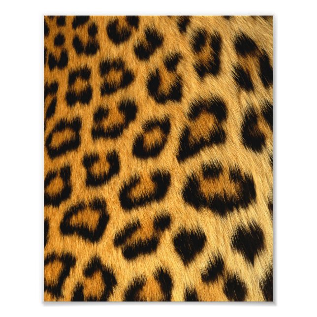 Leopard Fur Print Fotodruck (Vorne)