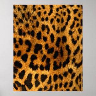 Leopard Fur Print Poster