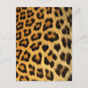 Leopard Fur Print Postkarte