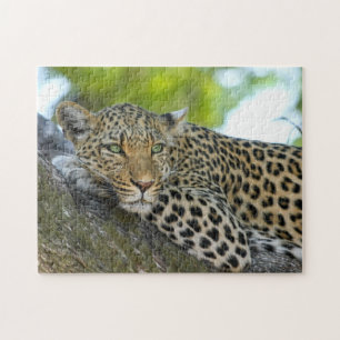 Leopard Game Puzzle