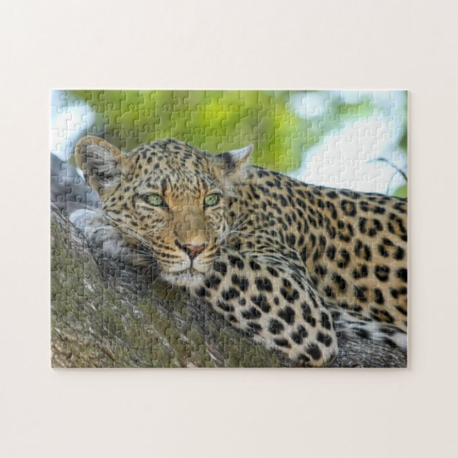 Leopard Game Puzzle (Horizontal)