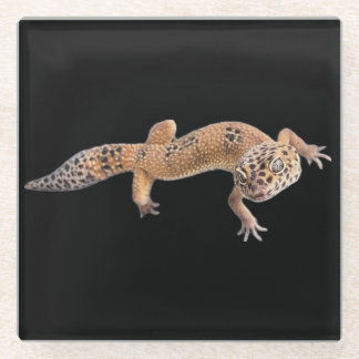 Leopard Gecko Glasuntersetzer