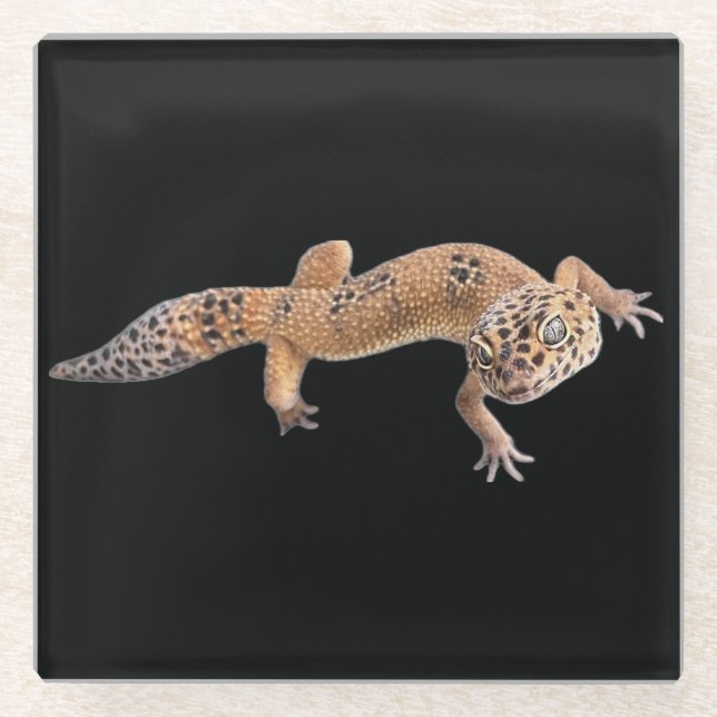  Leopard Gecko  Glasuntersetzer (Vorderseite)