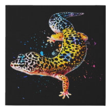 Leopard Gecko Wasserfarben Reptilienhalter