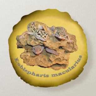 Leopard Geckoentwurf für alle! Rundes Kissen