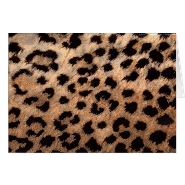 Leopard-Gepard-Tierdruck-Girly modernes modisches (Vorderseite (Horizontal))