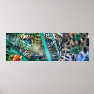 LEOPARD GRÜNE AUGEN STARREND POSTER