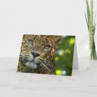 Leopard Grußkarte