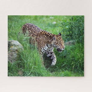 Leopard im Graspuzzle