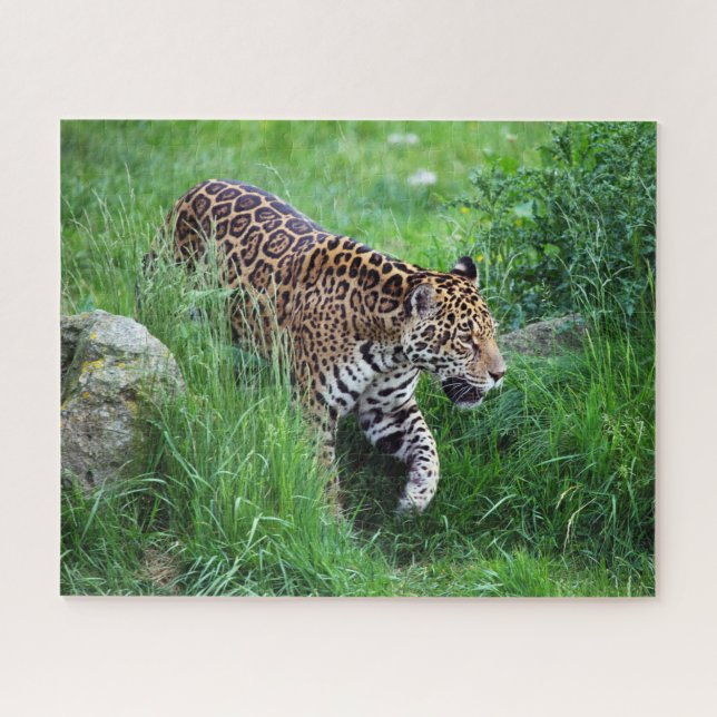 Leopard im Graspuzzle (Horizontal)