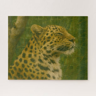 Leopard im Heiligtum
