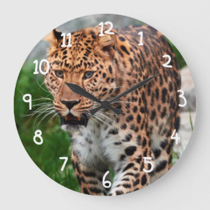 Leopard im wilden große wanduhr