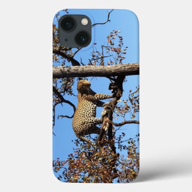 Leopard in einem Baum in Afrika Case-Mate iPhone Hülle (Rückseite)