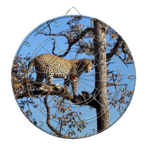 Leopard in einem Baum in Afrika Dartscheibe