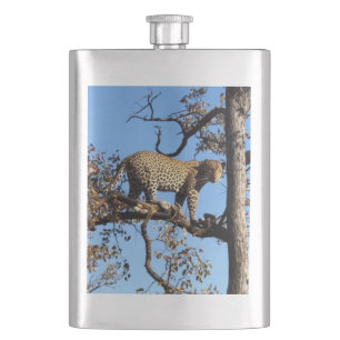 Leopard in einem Baum in Afrika Flachmann