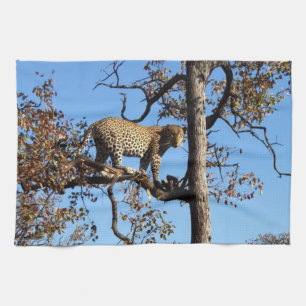Leopard in einem Baum in Afrika Geschirrtuch