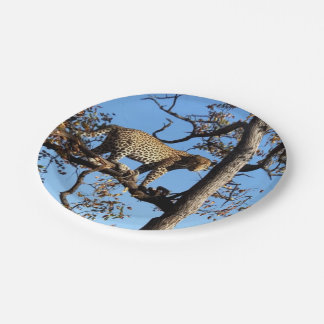 Leopard in einem Baum in Afrika Pappteller