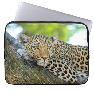 Leopard in einem Baum Laptopschutzhülle