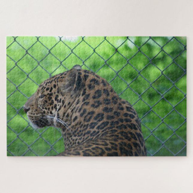 Leopard in Käfig (Horizontal)